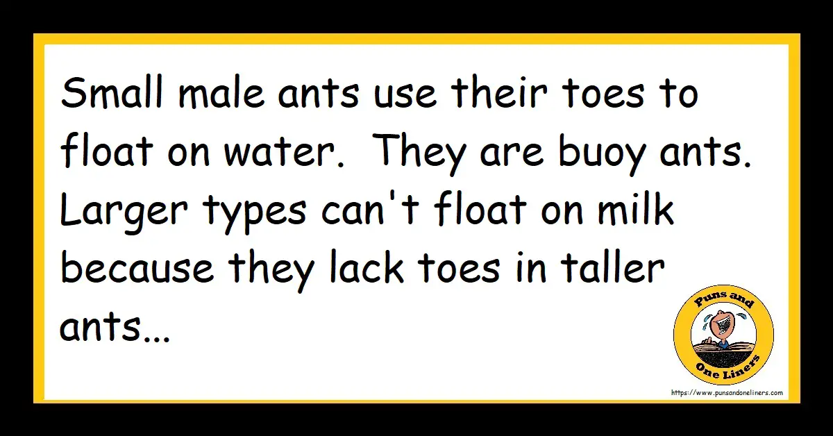 Toe Jokes Puns And One Liners