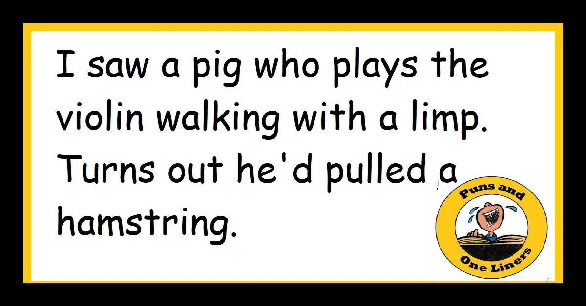 Violin Jokes Puns And One Liners
